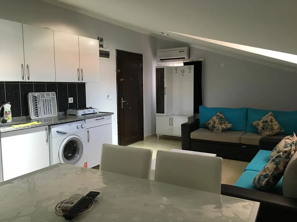 Manolya Apart Hotel 费特希耶